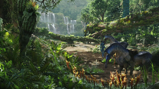 File:Daytime pandora.jpg