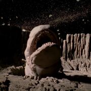 Exogorthen.jpg