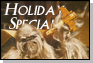 Jedipedia Button Holiday.gif