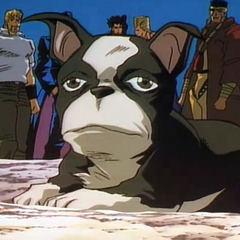 Iggy Jojo S Bizarre Encyclopedia Fandom Powered By Wikia