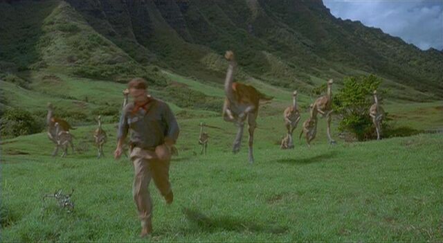 File:Gallimimus.jpg
