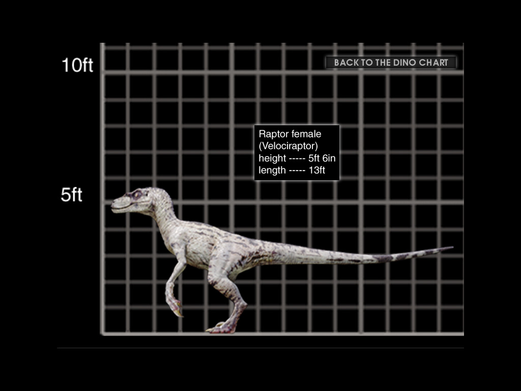 velociraptor and ceratosaurus