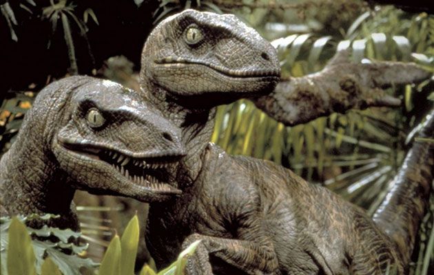 velociraptor and other raptors