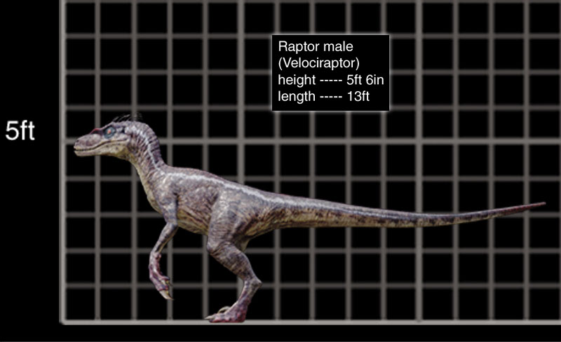 jurassic park builder velociraptor