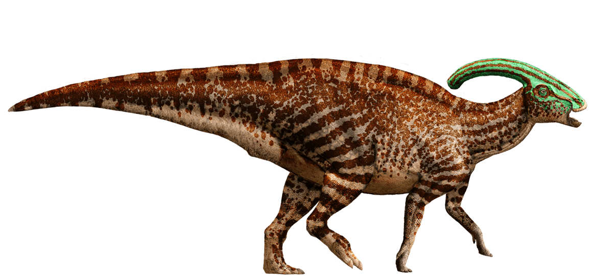 Parasaurolophus | Jurassic Park wiki | FANDOM powered by Wikia