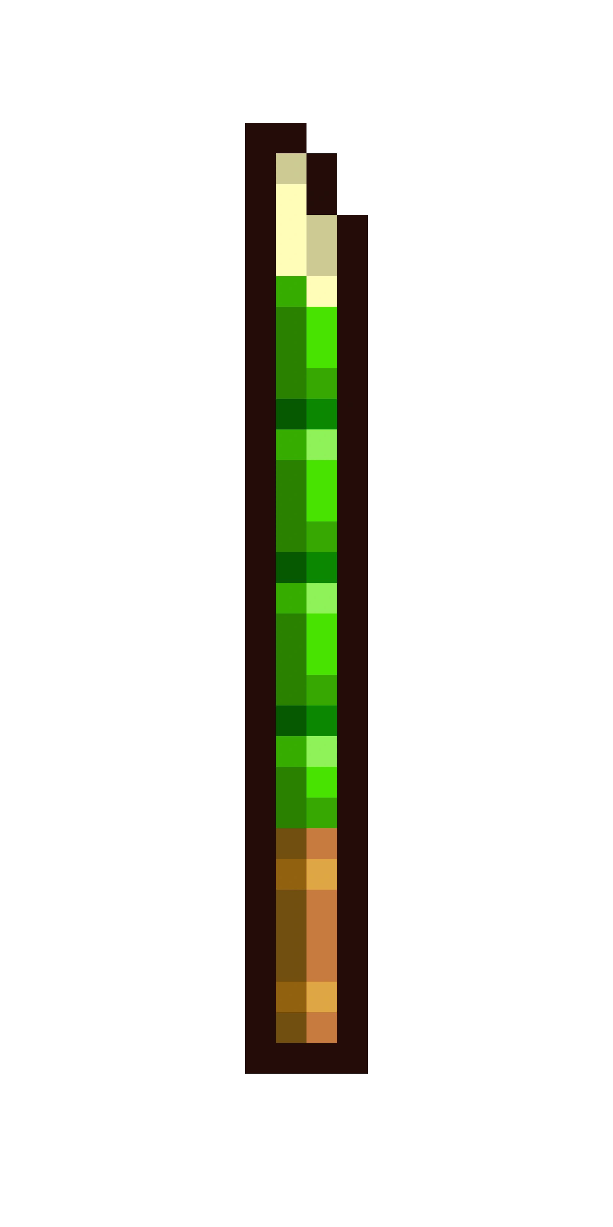 Bamboo Spear