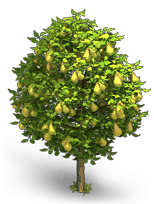 Image - Pear tree.png | Klondike: The Lost Expedition Wiki | Fandom