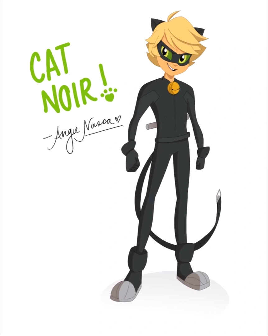 Image - Cat Noir Nasca Drawing.png | Miraculous Ladybug Wiki | FANDOM