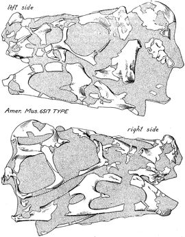 land before time oviraptor