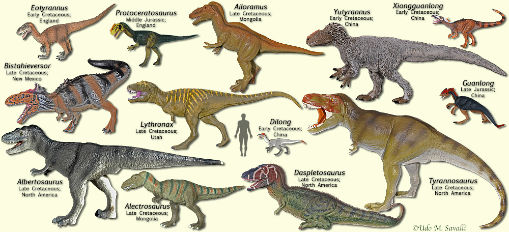 different types of t rex dinosaurs