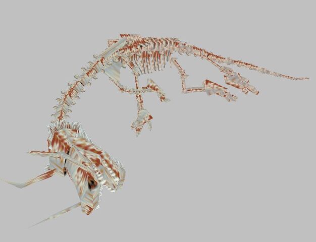 File:Marco Bartoli (Dragon Skeleton).jpg