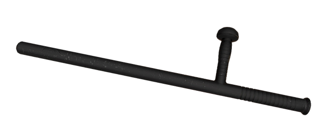 File:Tonfa.png