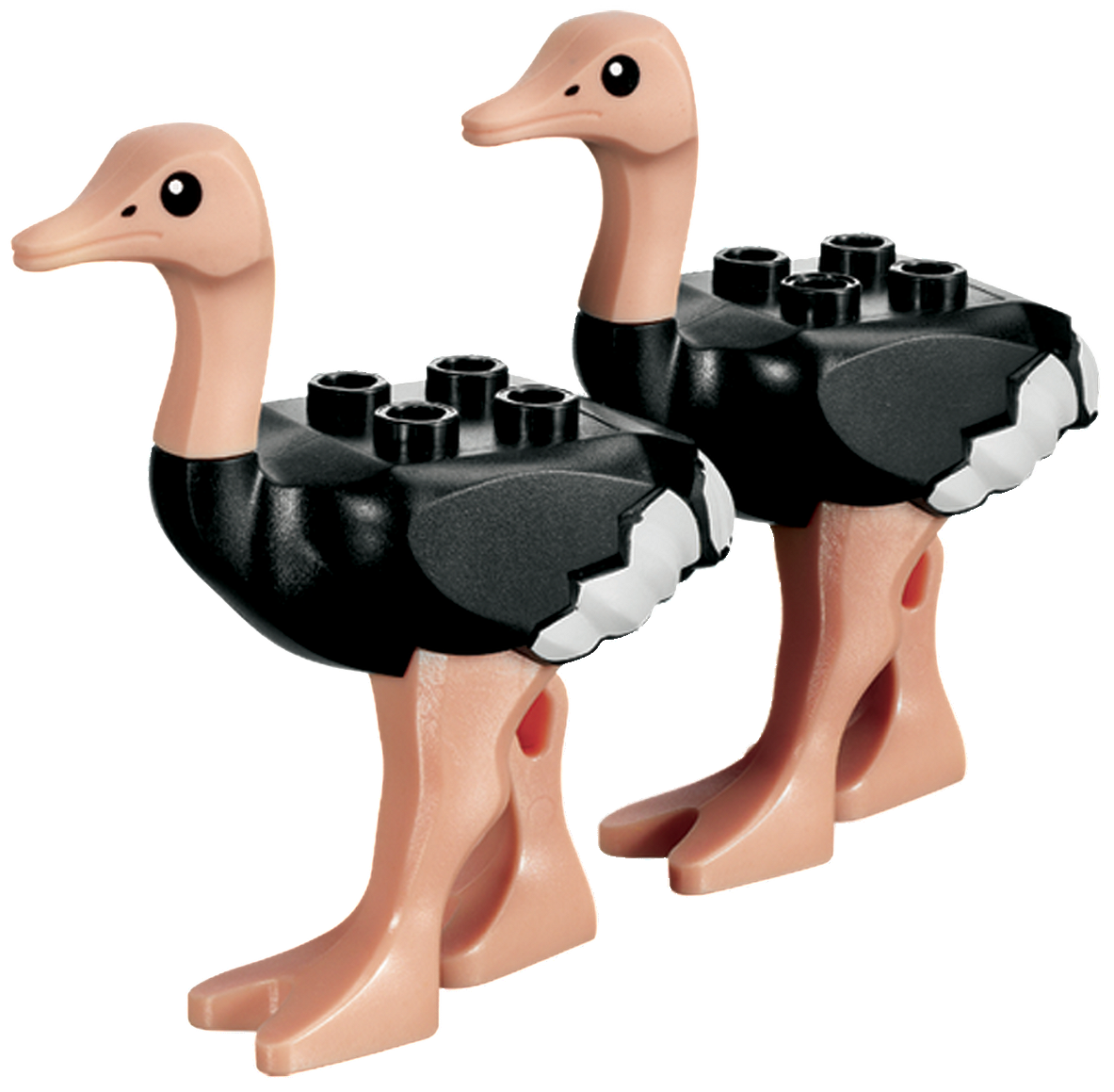 Ostrich | Brickipedia | Fandom powered by Wikia