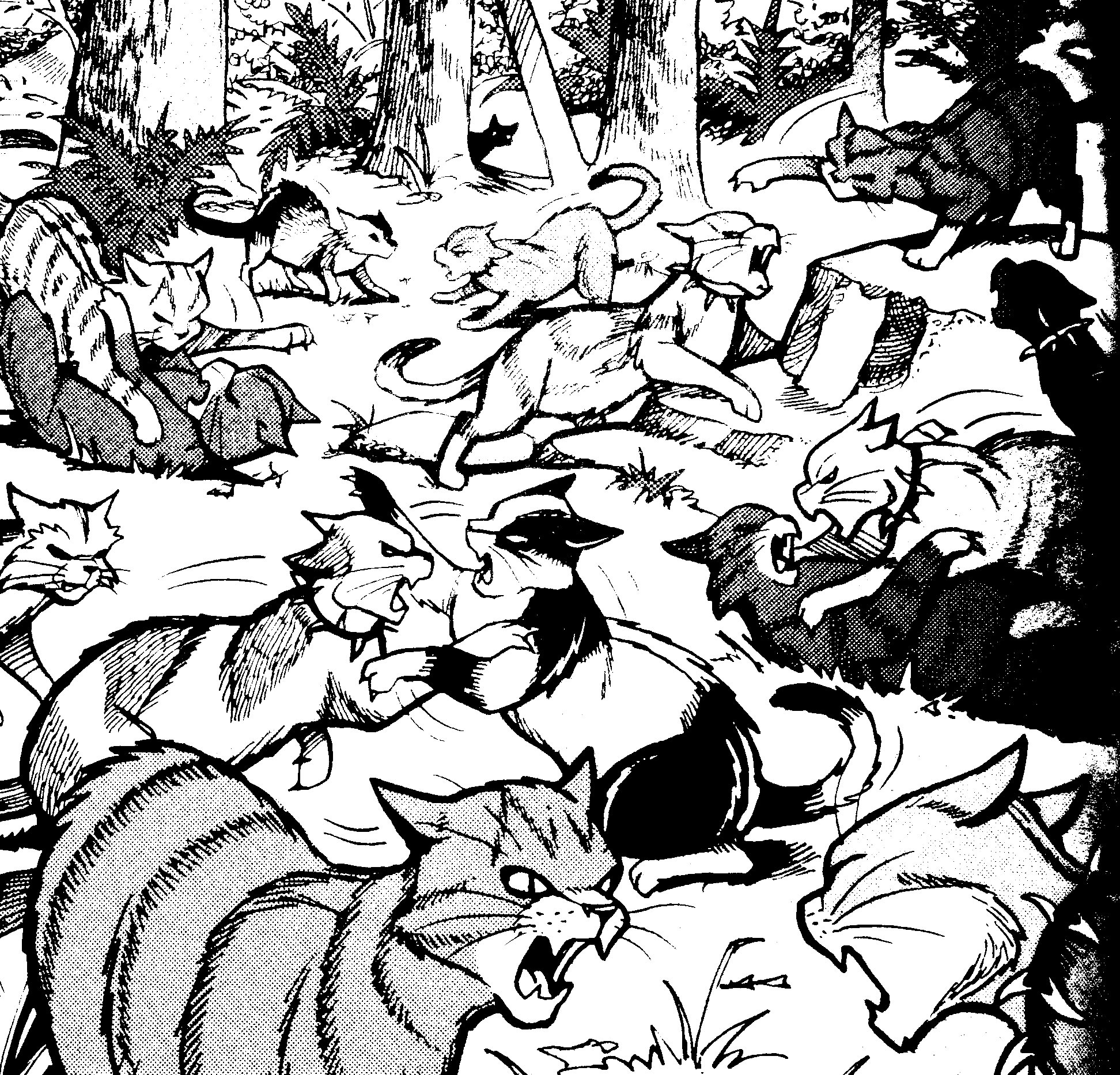 Qui A Gagné La Bataille Des Clans Batailles | Wiki La guerre des Clans | Fandom powered by Wikia