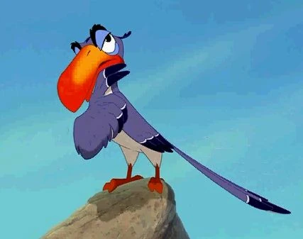 Image - Zazu.JPG | The Lion King Wiki | Fandom powered by Wikia