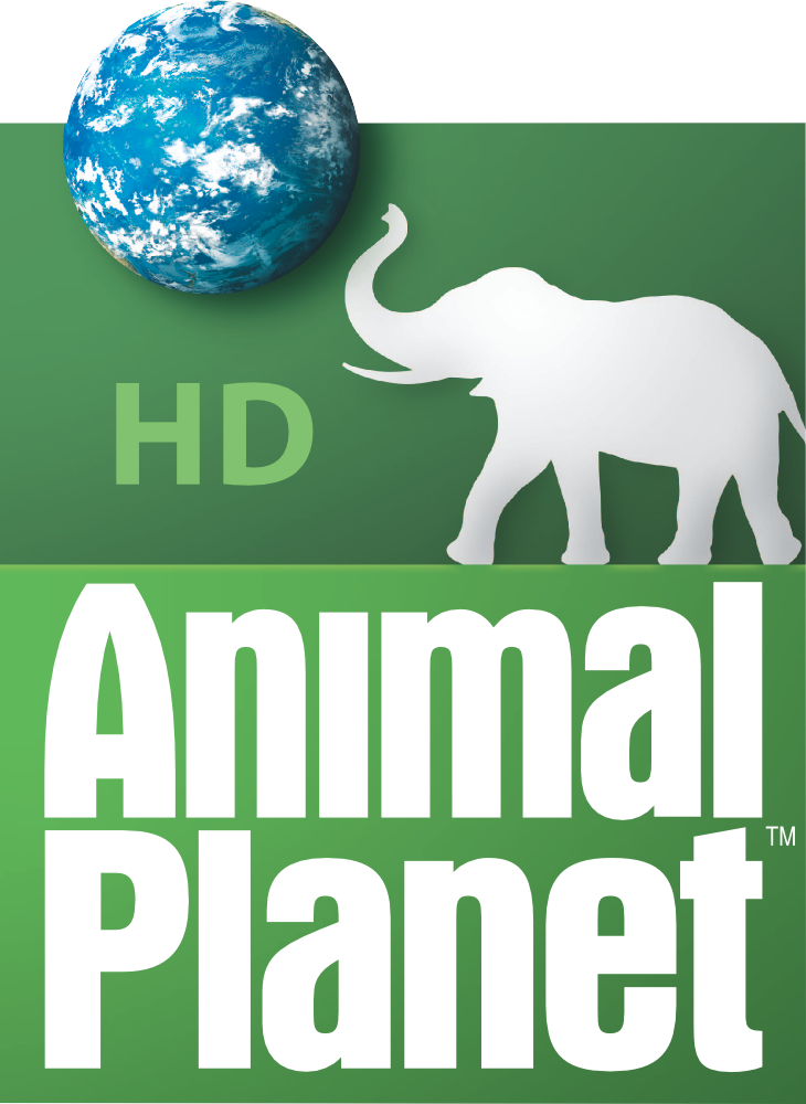 Animal Planet | Logopedia | FANDOM powered by Wikia