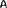 SF-A.png