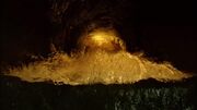 6x17-Lichthöhle.jpg