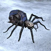 Shelob 4.jpg (15 KB) Shelob 4