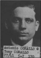 Corallotony