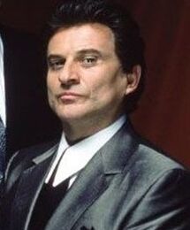 Tn2 joe pesci 4
