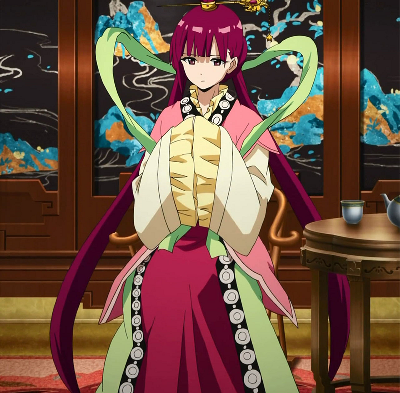 Magi: The Labyrinth of Magic, Magi Wiki