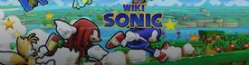 Sonic Wiki.jpg