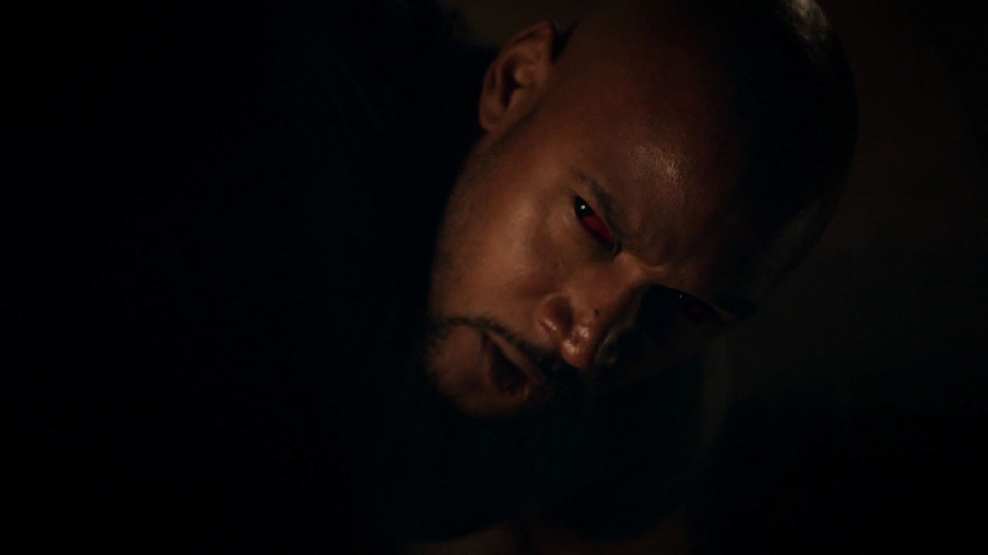 Maya Stojan desktop Wallpapers