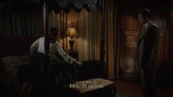 Russiansablebed
