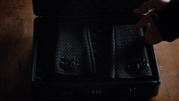 Skye's new gauntlets