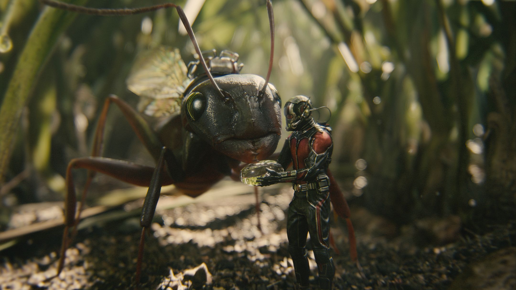 Image result for ant-man movie antony