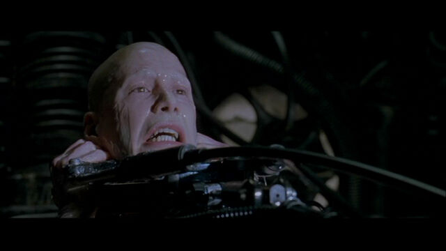 File:The Matrix 237.jpg