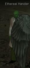 Ethereal closeup