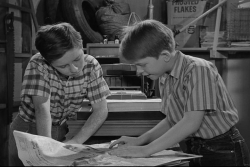 mayberry 2048 written in conji mayberry 2048 written in conji