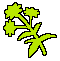 Icon Tarragon TPP
