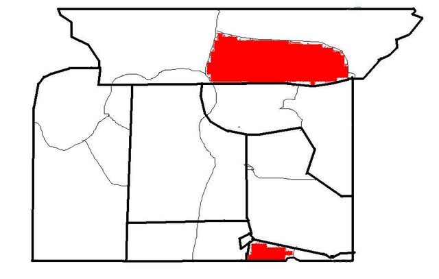 File:878y.jpg