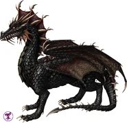 H5NWCDragon