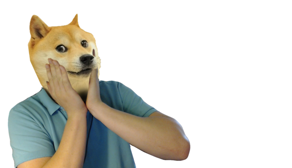 http://vignette1.wikia.nocookie.net/mipequeoponyfanlabor/images/f/fd/Doge_esta_impaktado.png/revision/latest?cb=20140920192104&path-prefix=es