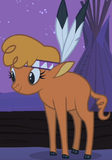 Little strongheart