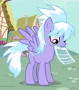 Cloudchaser ID