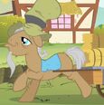 Pan Greenhooves