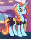 Sassy Saddles ID