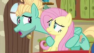 Fluttershy a Zephyr Breeze, bratr a sestra S6E11