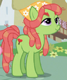 Tree Hugger ID