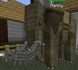 Elephant Tusks.jpg