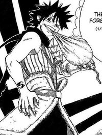 OrageShiki