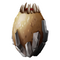 Gravoid-oeuf.png