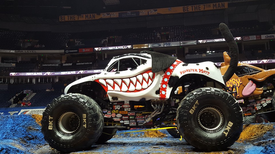monster mutt dalmatian monster mutt dalmatian