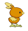 Torchic1