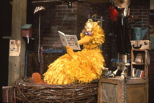 Big Bird's nest | Muppet Wiki | Fandom powered by Wikia